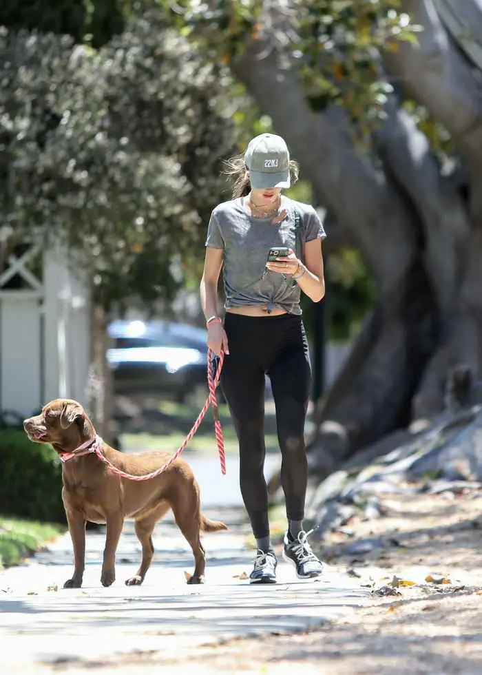 alessandra ambrosio wears a mask to jog with her dog 3