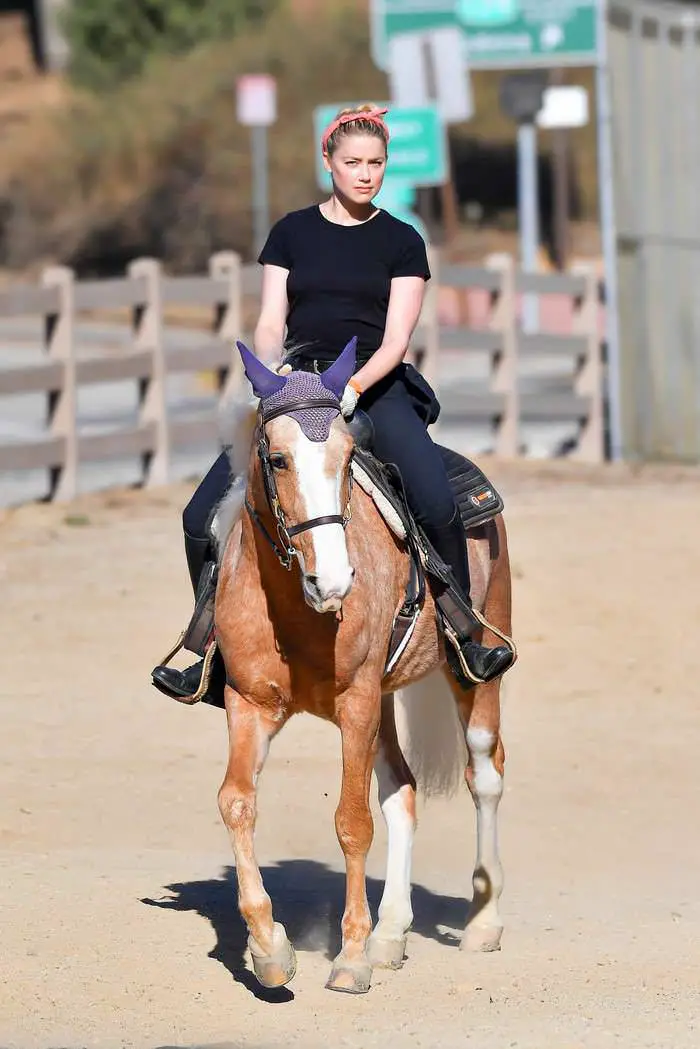 amber heard enjoys with her gf on the ranch while petition against her is growing 4