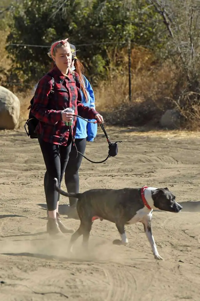 amber heard went for a hike in los angeles with a friend 3