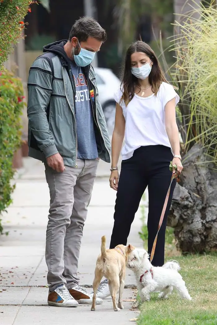 ana de armas and ben affleck out in relaxed stroll with her dog 2