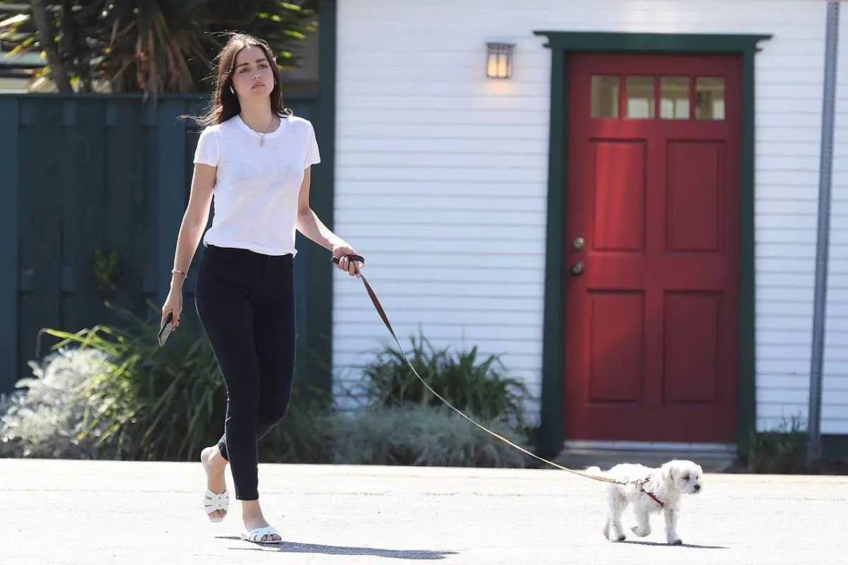 ana de armas hits a carefree look as she takes her dog for a walk 1
