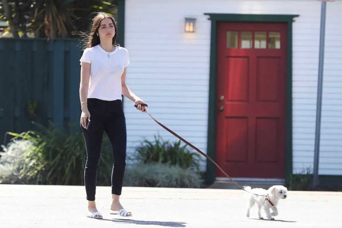 ana de armas hits a carefree look as she takes her dog for a walk 2