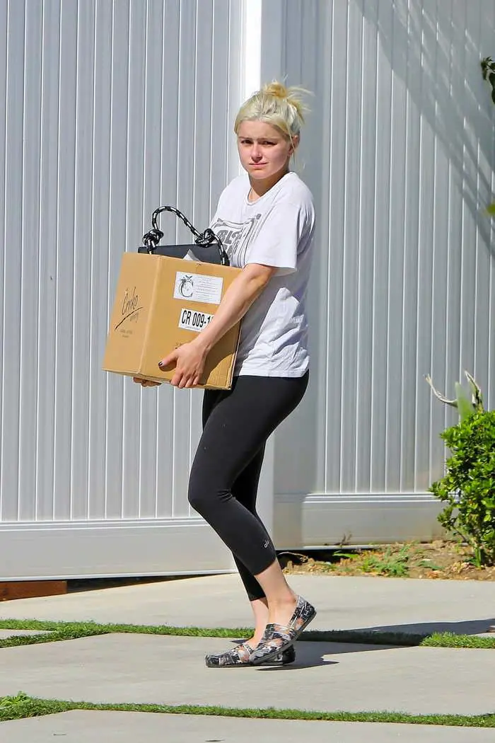 Ariel Winter Carried Heavy Cardboard Box as she Runs Errands in LA