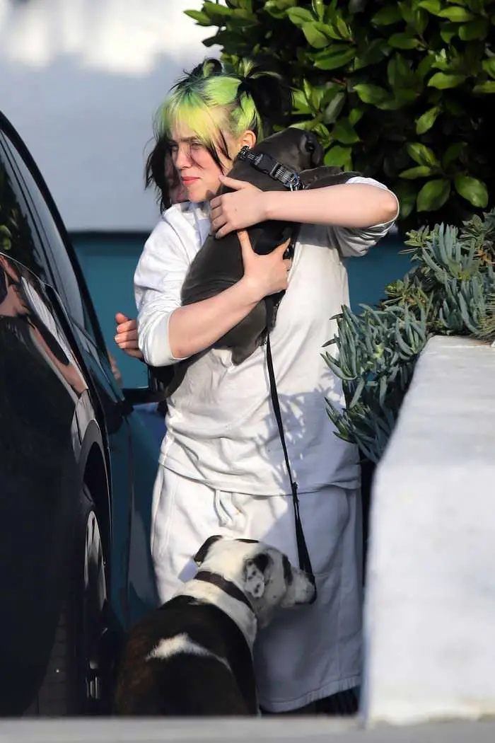 Billie Eilish in All White as She Receives New Puppy