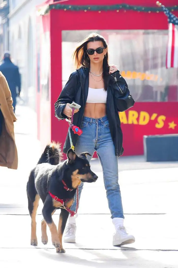 Emily Ratajkowski Out With Her Dog Colombo in New York