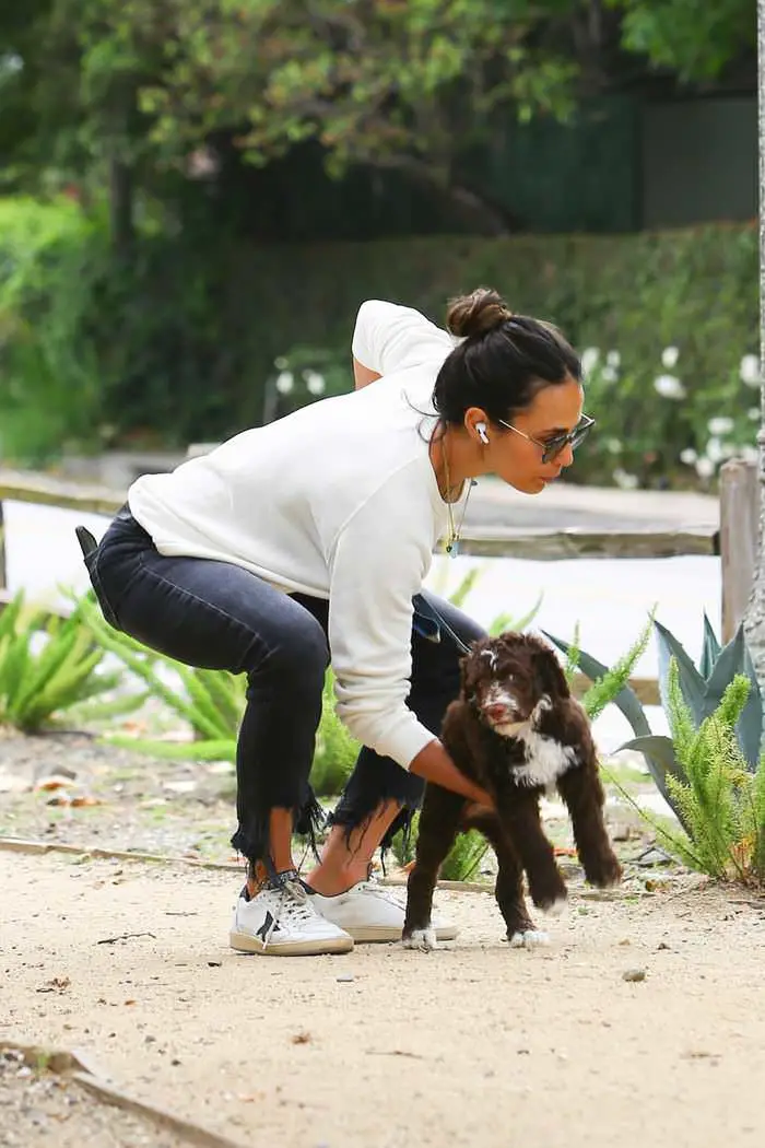 jordana brewster steps out for a walk with her dog in la 1