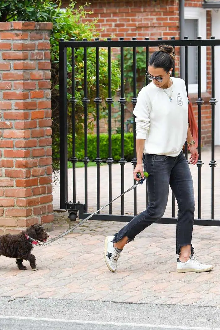 jordana brewster steps out for a walk with her dog in la 3