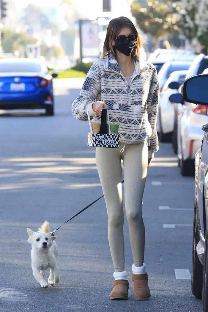 Kaia Gerber at Alfred Coffee with her Dog Milo in LA