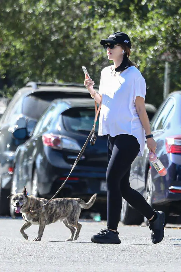 Katherine Schwarzenegger Stroll with Her Dog in LA