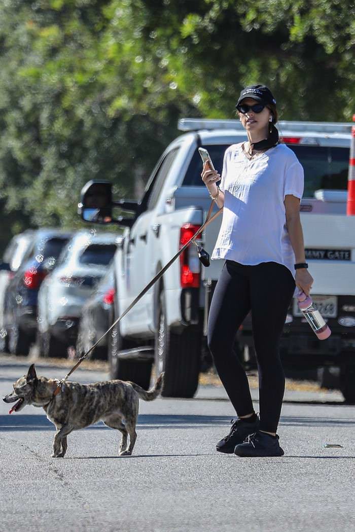 katherine schwarzenegger stroll with her dog in la 4