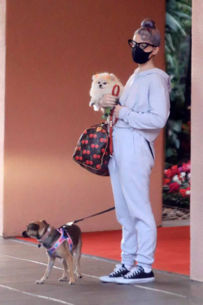 kelly osbourne in sweatsuit takes her dogs to the beverly hills hotel 4