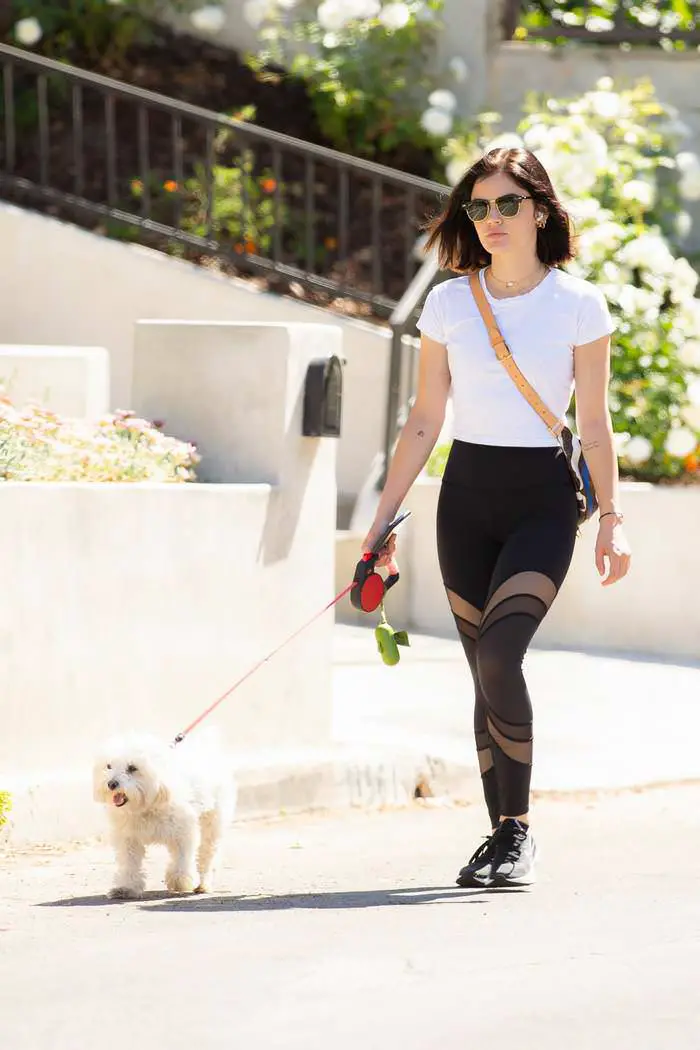lucy hale in leggings as she takes the dog on a walk through la 3