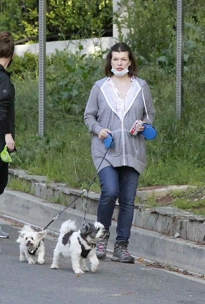 milla jovovich cuts a relaxed look as she takes her dogs for a walk 1