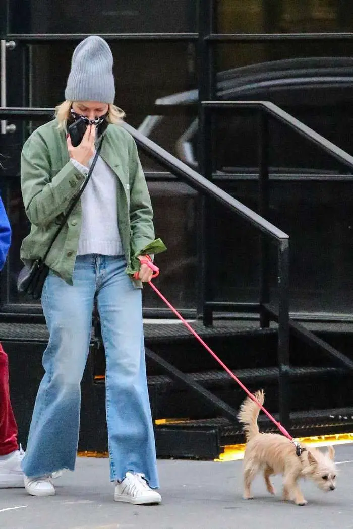 Naomi Watts in Cozy-chic Autumn Style as She Takes her Dog for a Walk