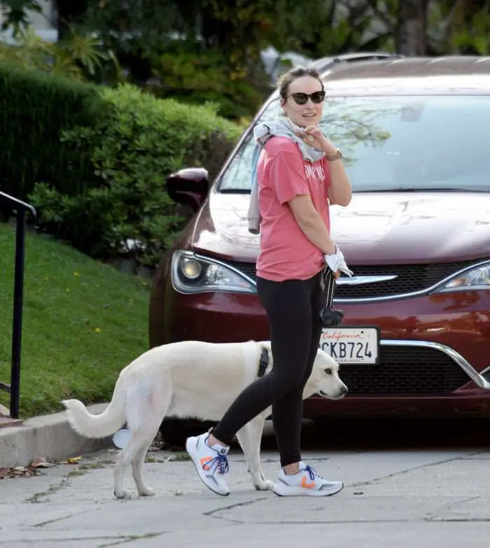Olivia Wilde Stepped Out for a Quick Dog Walk in LA
