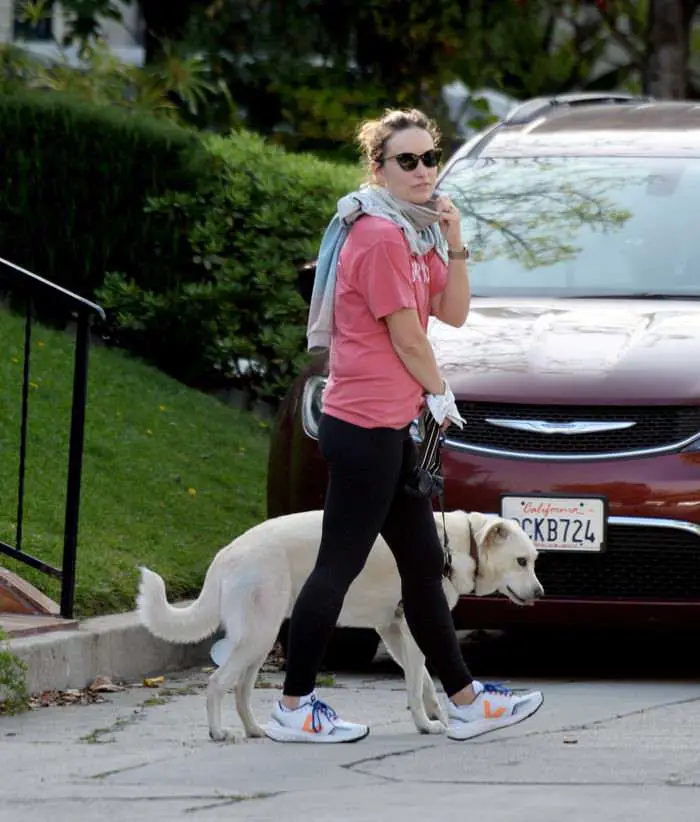 olivia wilde stepped out for a quick dog walk in la 2