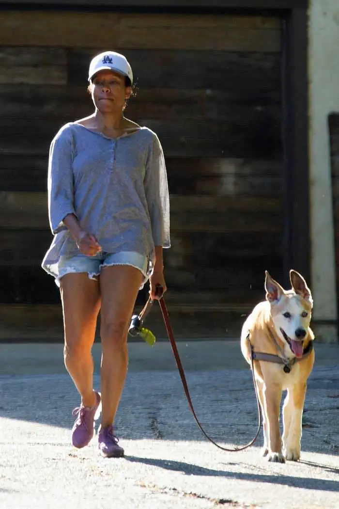 Regina King Enjoys Fresh Air While Taking her Dog for a Walk in LA