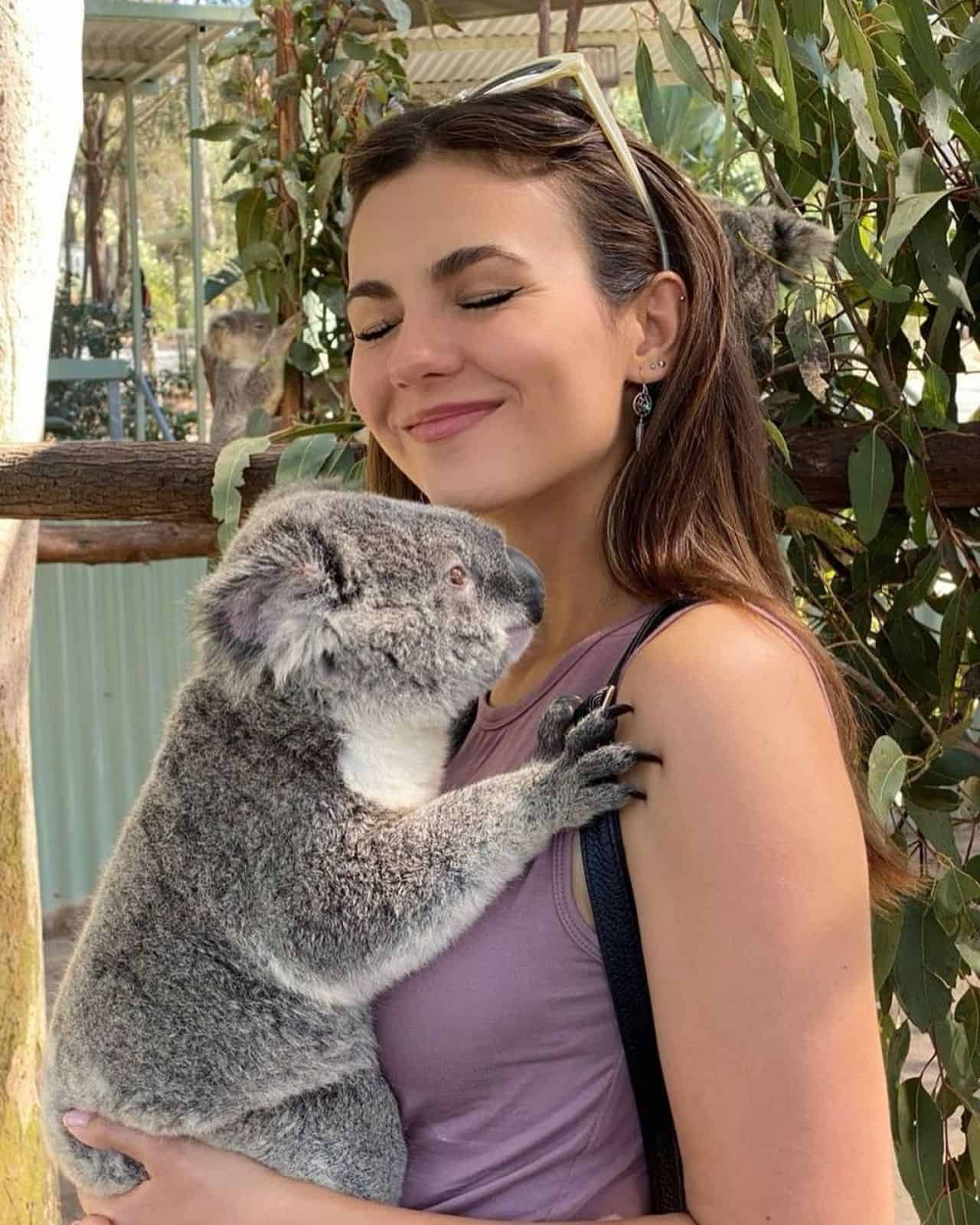 Victoria Justice Shared Pictures of her Holding a Koala on Instagram