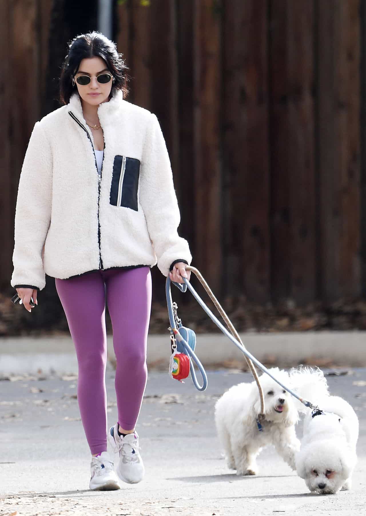 Lucy Hale Cuts a Relaxed Look as She Takes Her Dogs For a Walk in WeHo