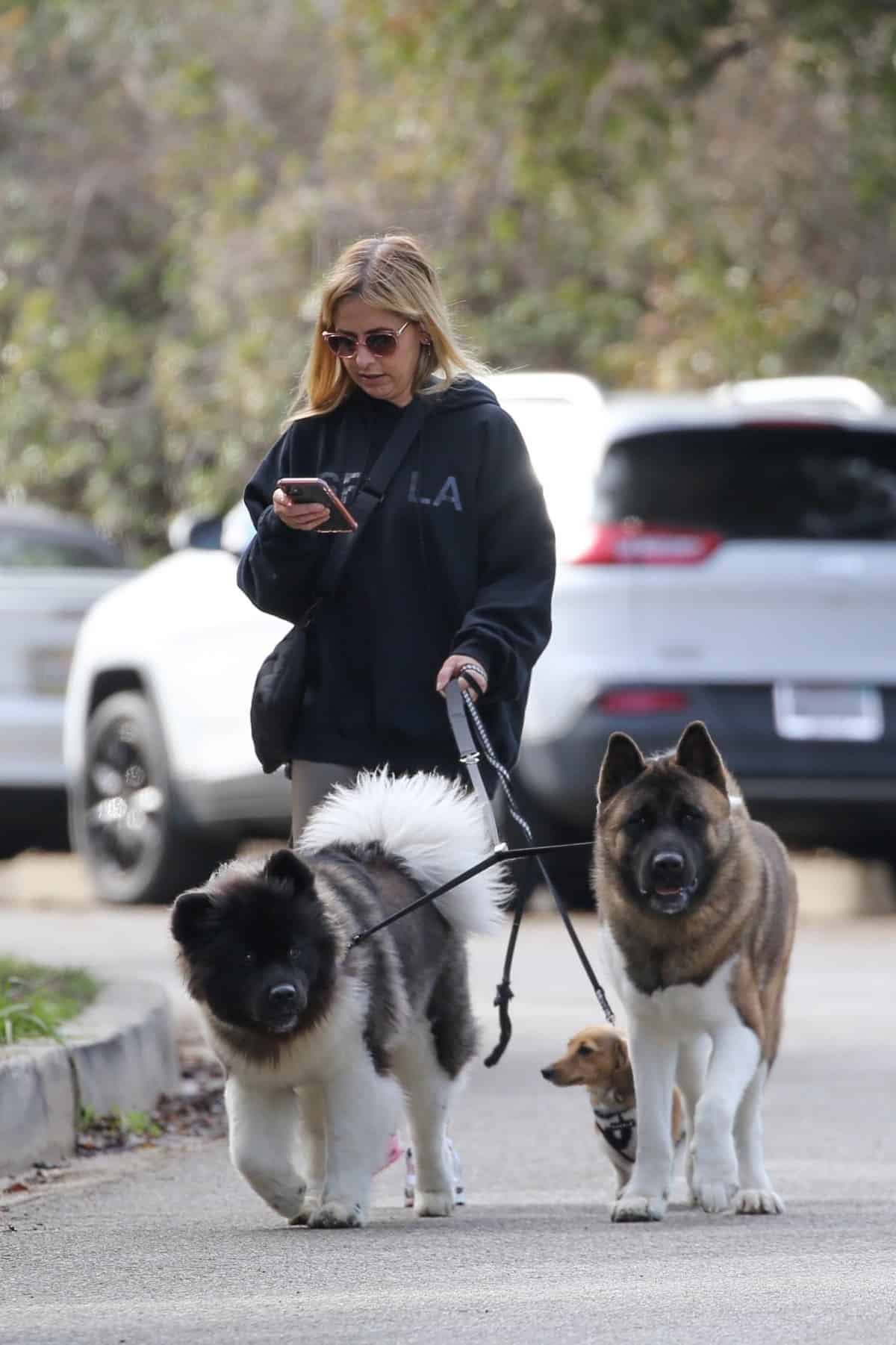 Sarah Michelle Gellar Sported a Casual Look while Walking her Dogs