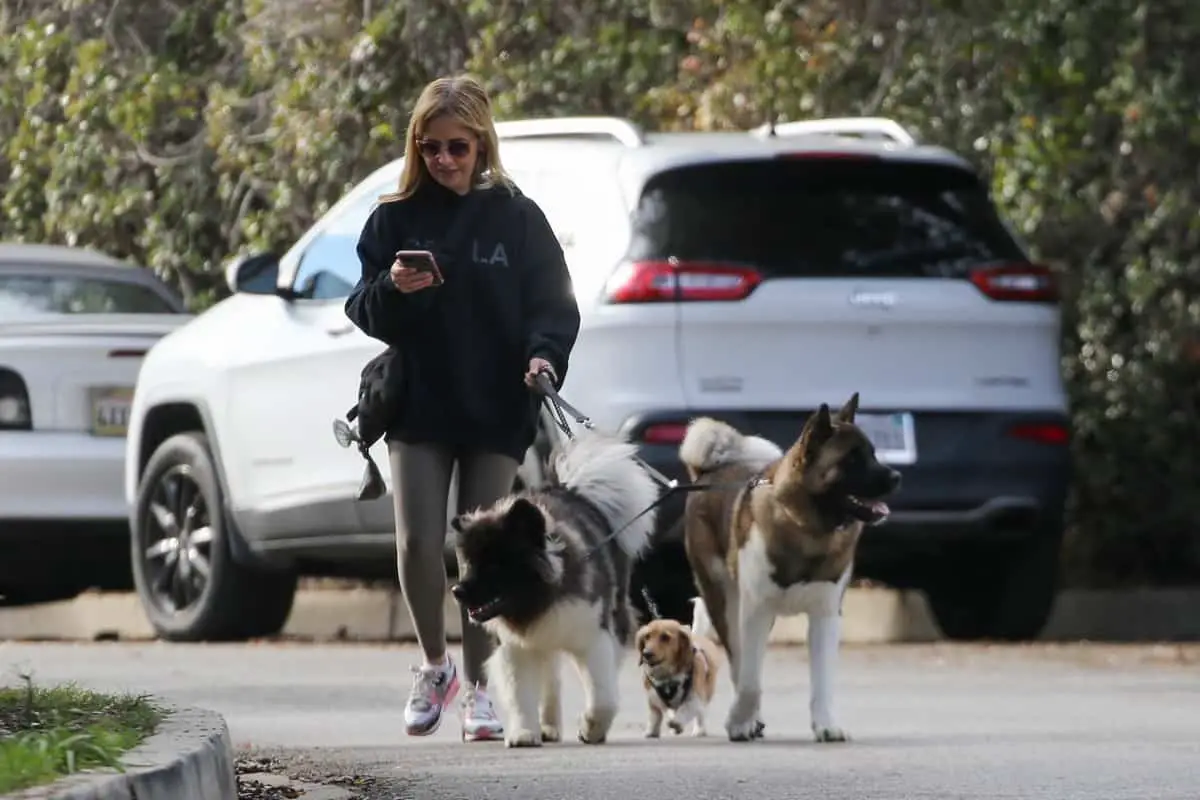 Sarah Michelle Gellar Sported a Casual Look while Walking her Dogs