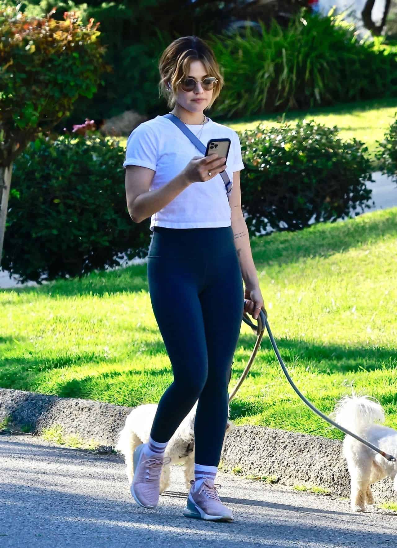 Lucy Hale Takes her Dogs for a Walk Around her Studio City Neighborhood