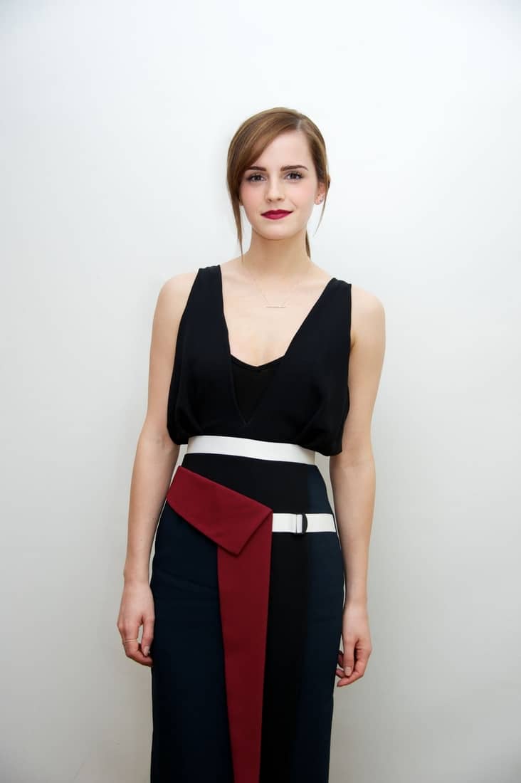 Emma Watson Radiates Beauty at the Noah Photocall and a Press Call