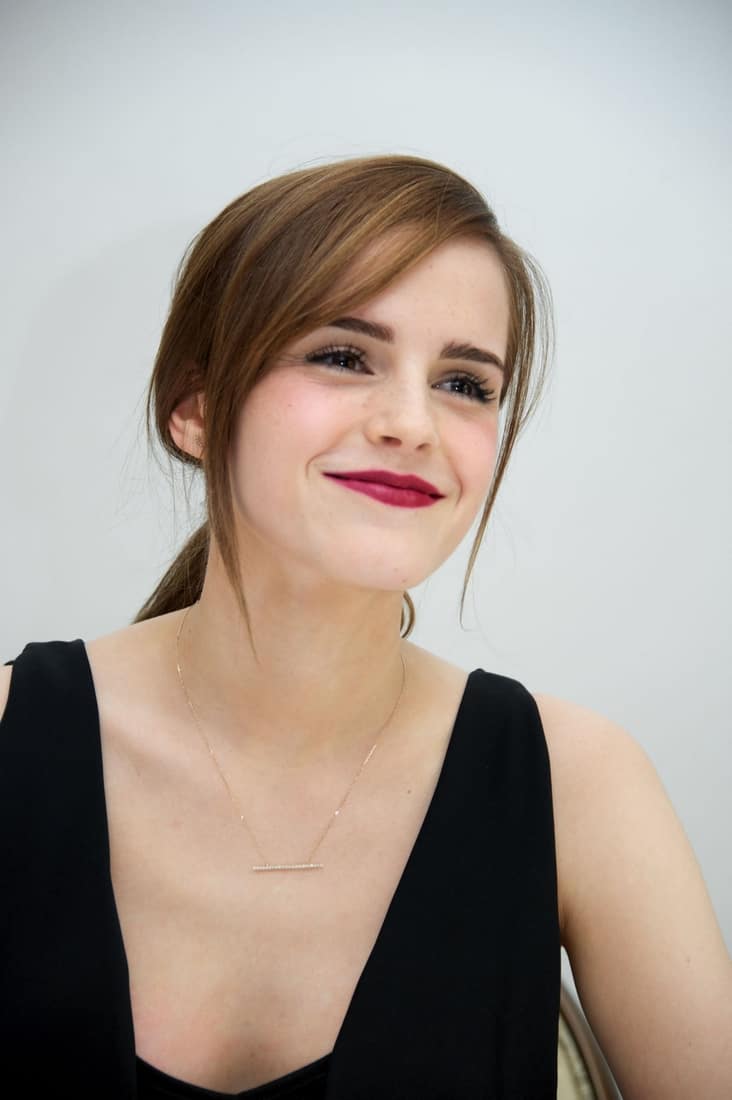 Emma Watson Radiates Beauty at the Noah Photocall and a Press Call