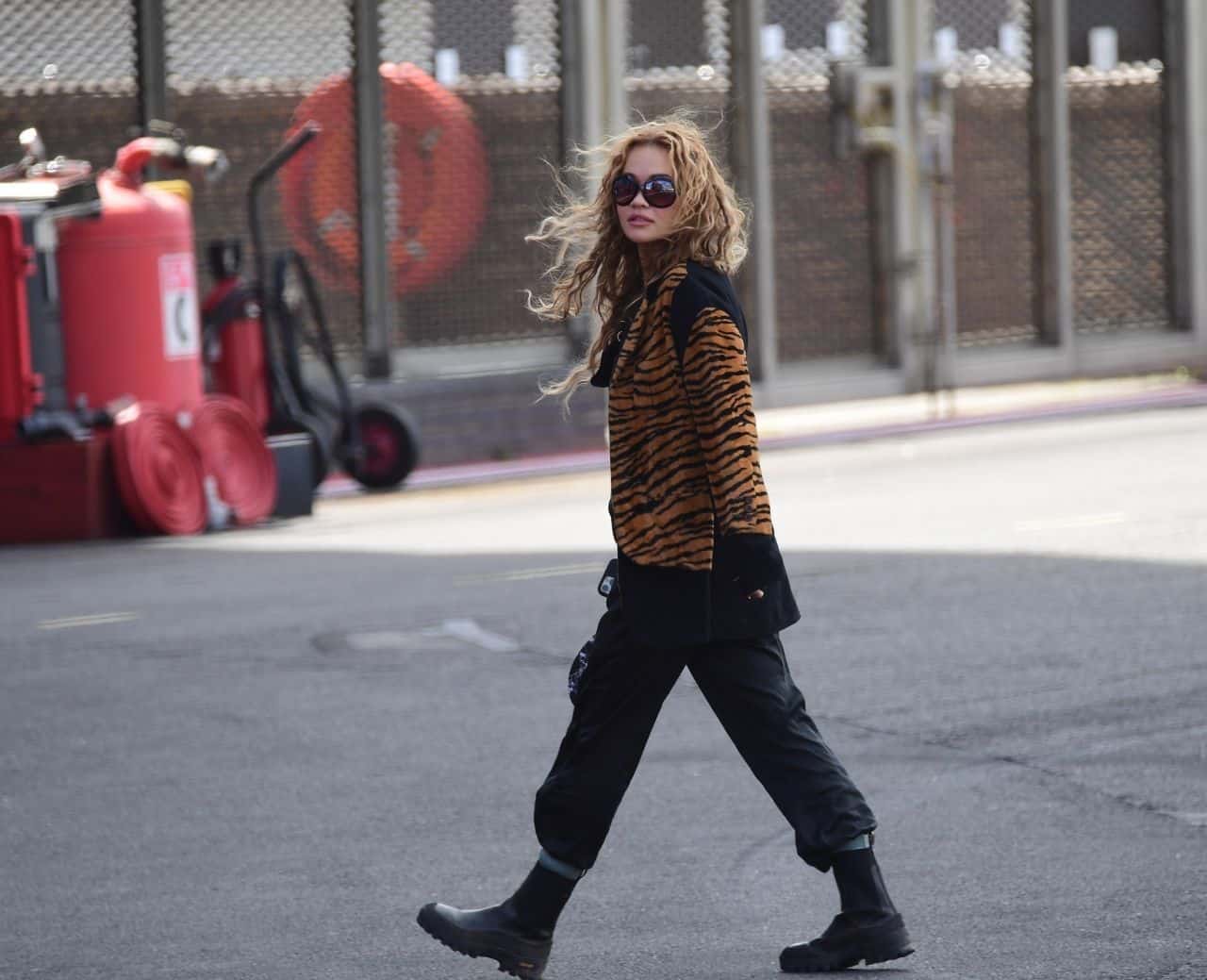 Rita Ora Looks Fiercely Chic in a Tiger Print Jacket at the London Heliport