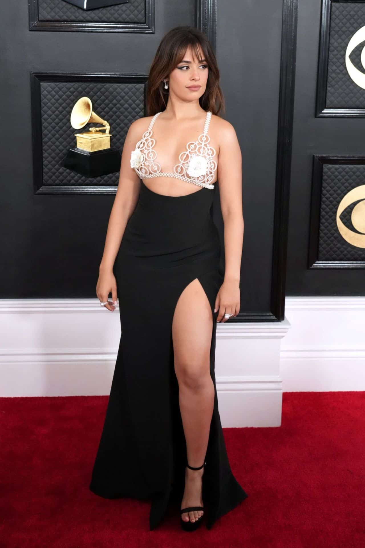 Camila Cabello Looks Impressive at 2023 Grammys in PatBO Dress