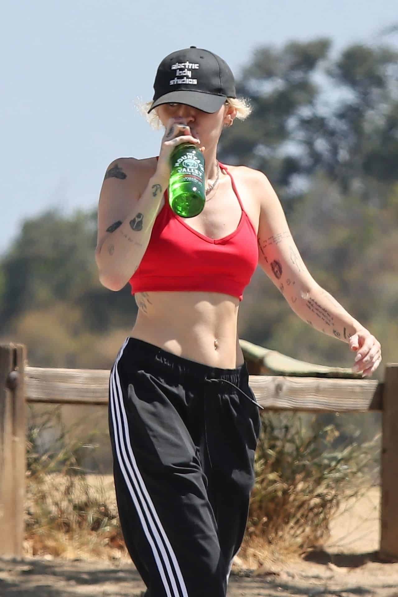 Miley Cyrus Flaunts Fit Figure on Hollywood Hills Hike